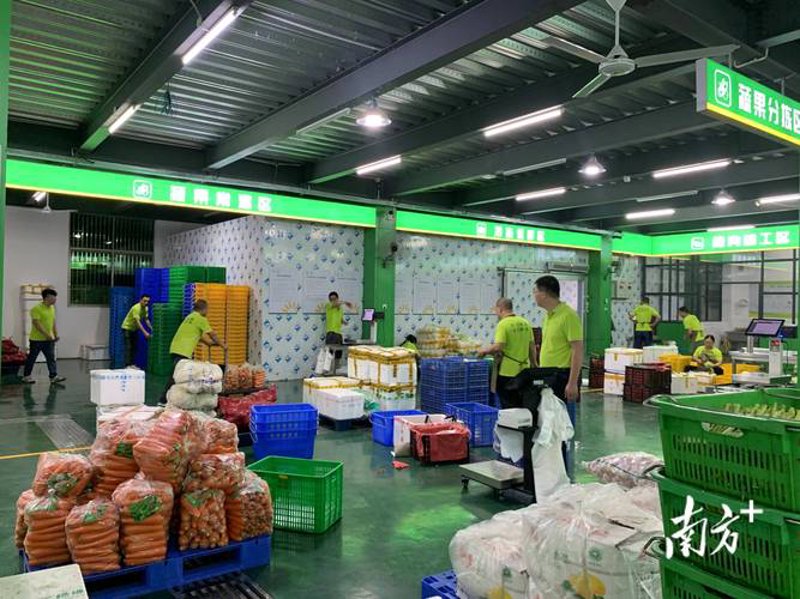 探索台山农产品的多样魅力